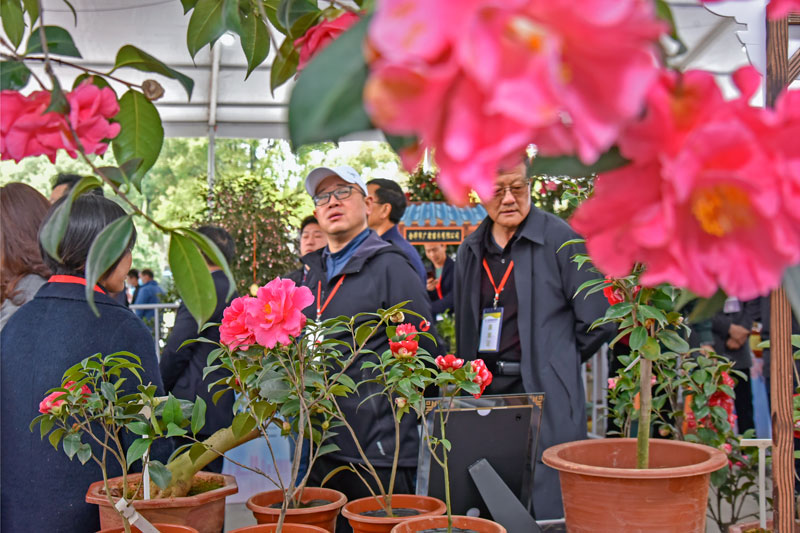 314ЇľaIǻ۲[@翗οĽMԊėǳz