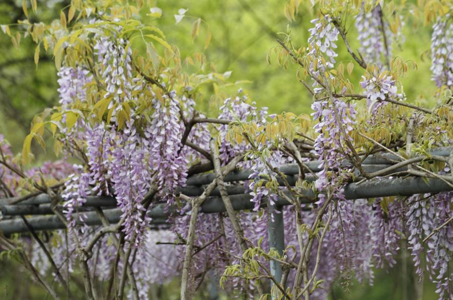 gω}ۙӰԭBI첽ƾQĻپϪعD