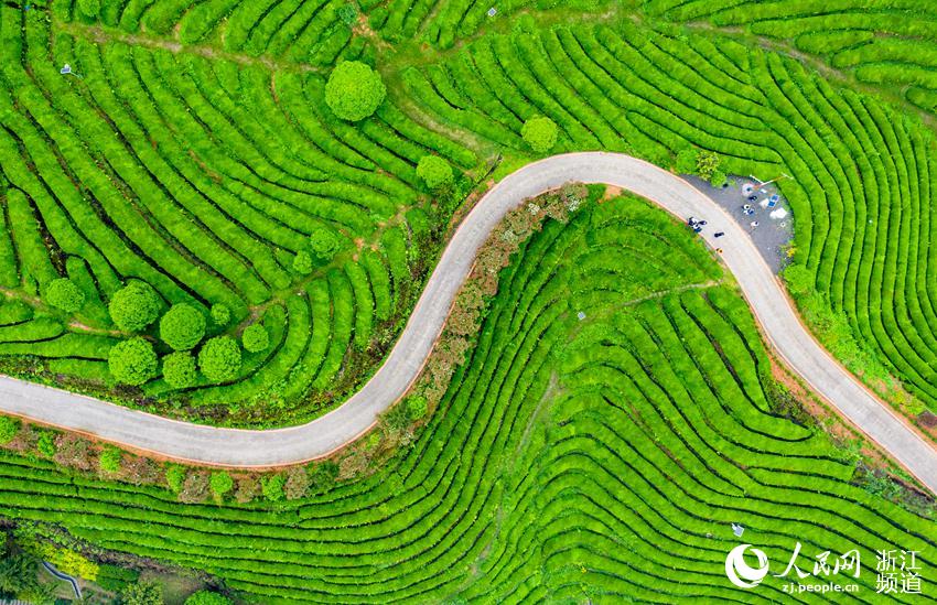 һ5Gz^շA500ײ~LW z