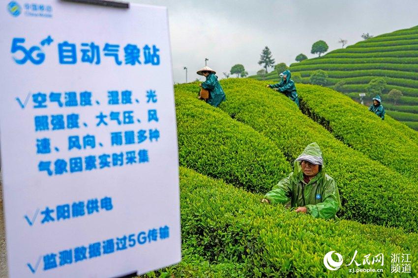 \Wgɼ@ԴhNֲ؛Q@ֲṩӿƌW֧W z