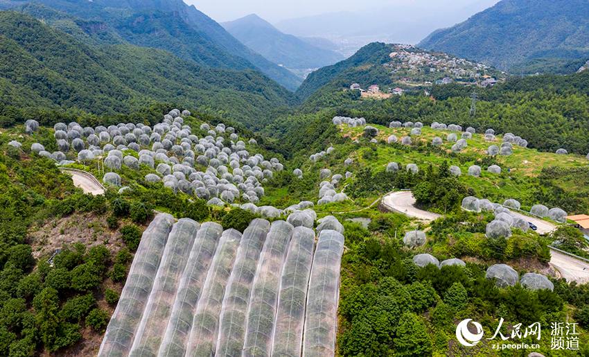 _Sr^ƽl÷÷䶼ڡÎW z