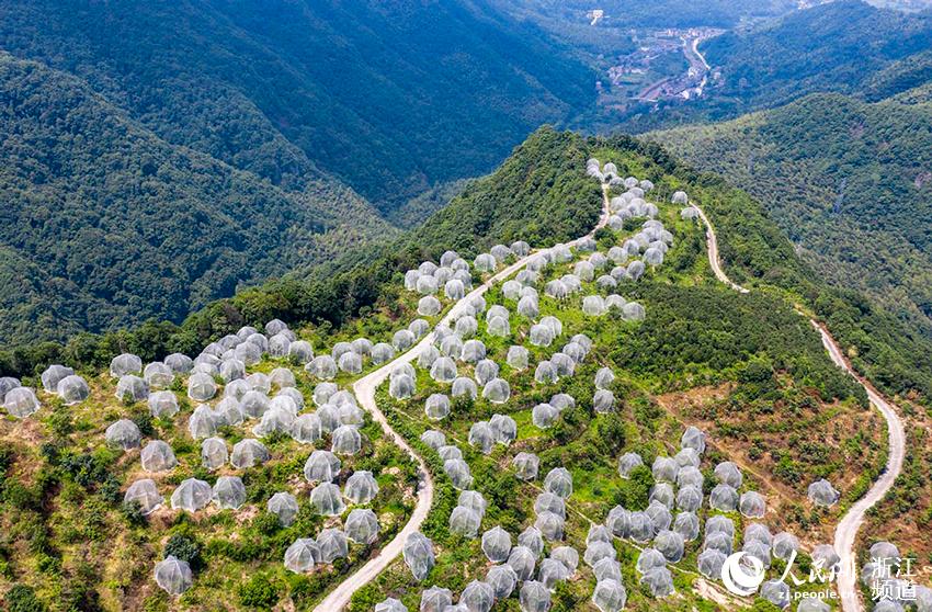 _Sr^ƽl÷÷䶼ڡÎW z