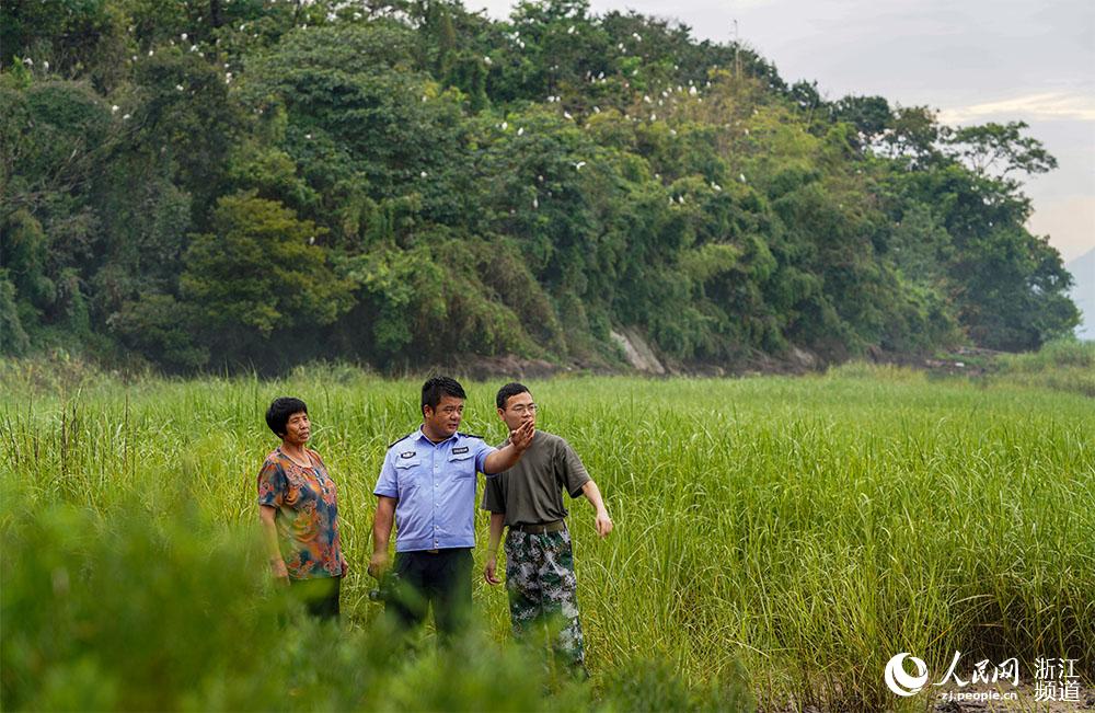 ϴ󣩺Ѧ壨У־Ը߶ңڍuϲ鿴BȺrW z