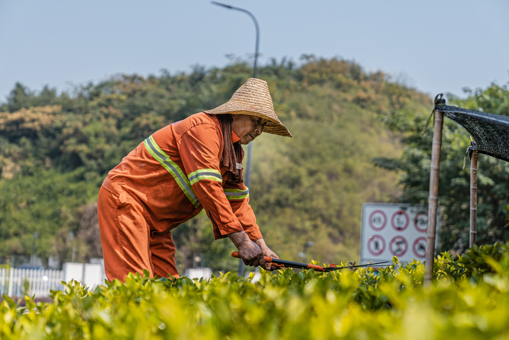 ຼG235·Bo޼Gֲຼ^ͨ\ݔֹD