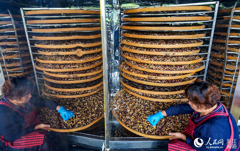 r񌢟oɹoMӹW z