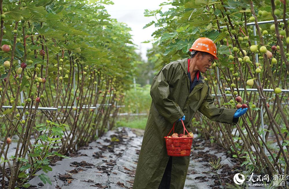 _ɾӿh_@rIoNֲ؃rڲժoW z