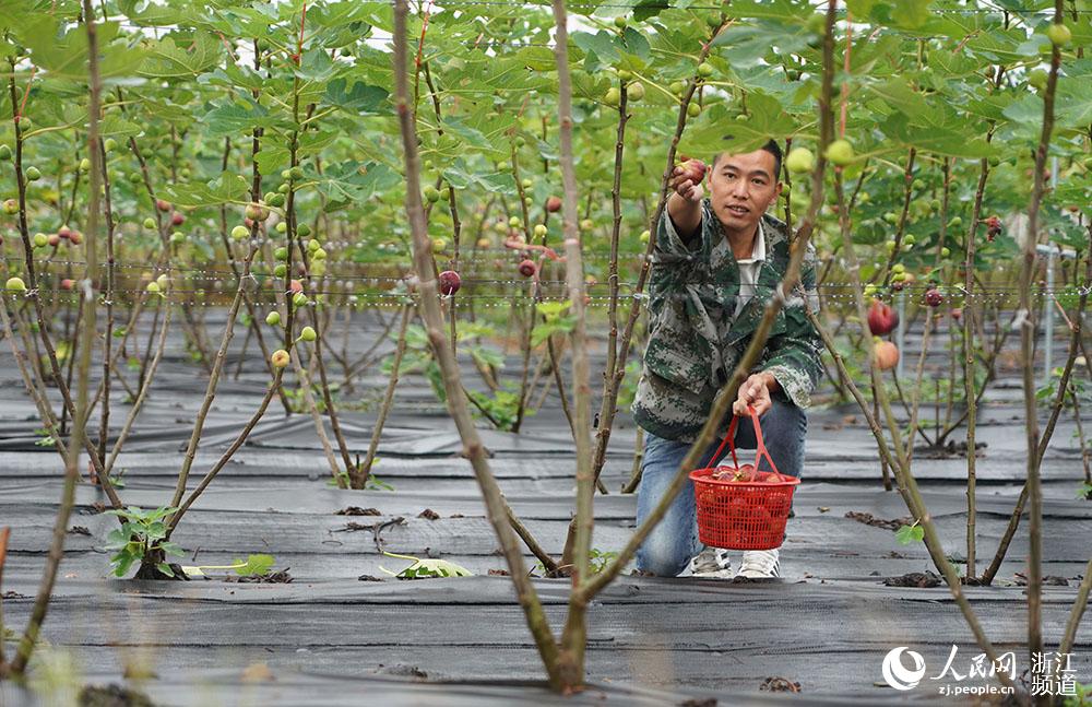 _ɾӿh_@rIoNֲ؃rڲժoW z