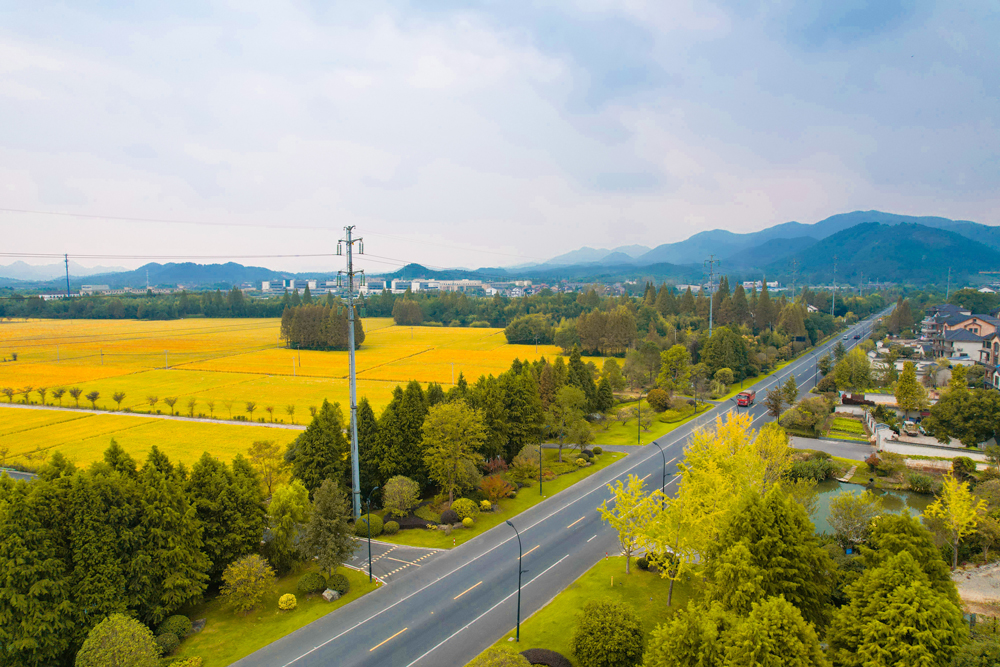 ĺr·žο܇vϢͯz