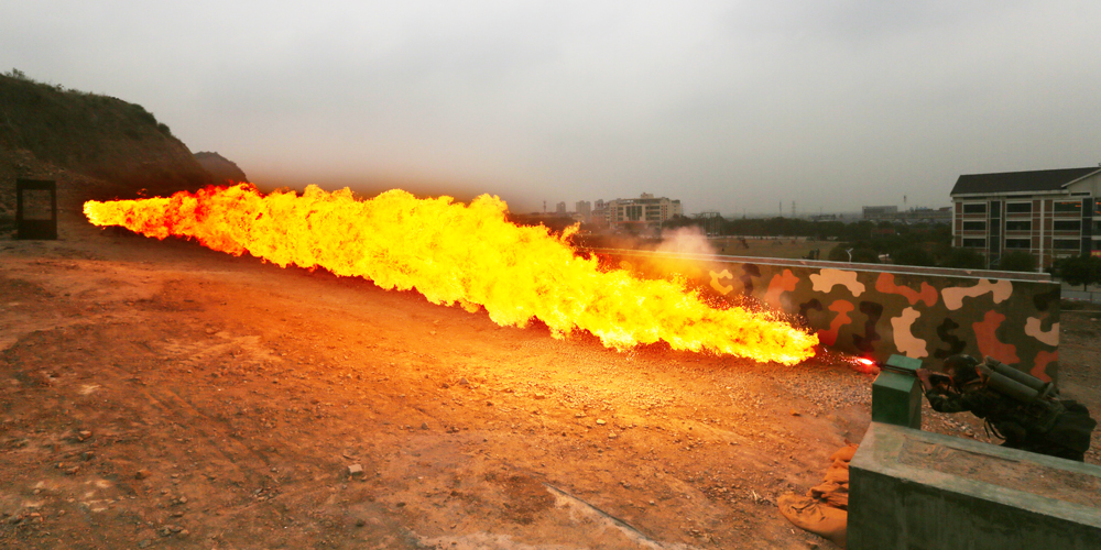 113侯㽭ʡꠙC֧꠹ٱMЌӖꐽܔz