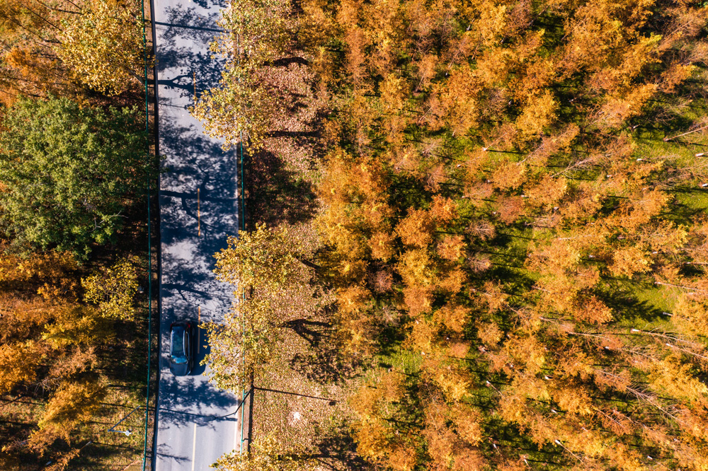 119ຼྀﾰɫȔz