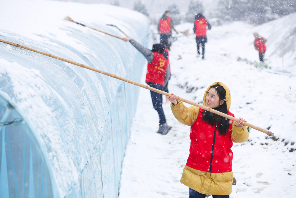 hT־Ըߎϵķeѩz