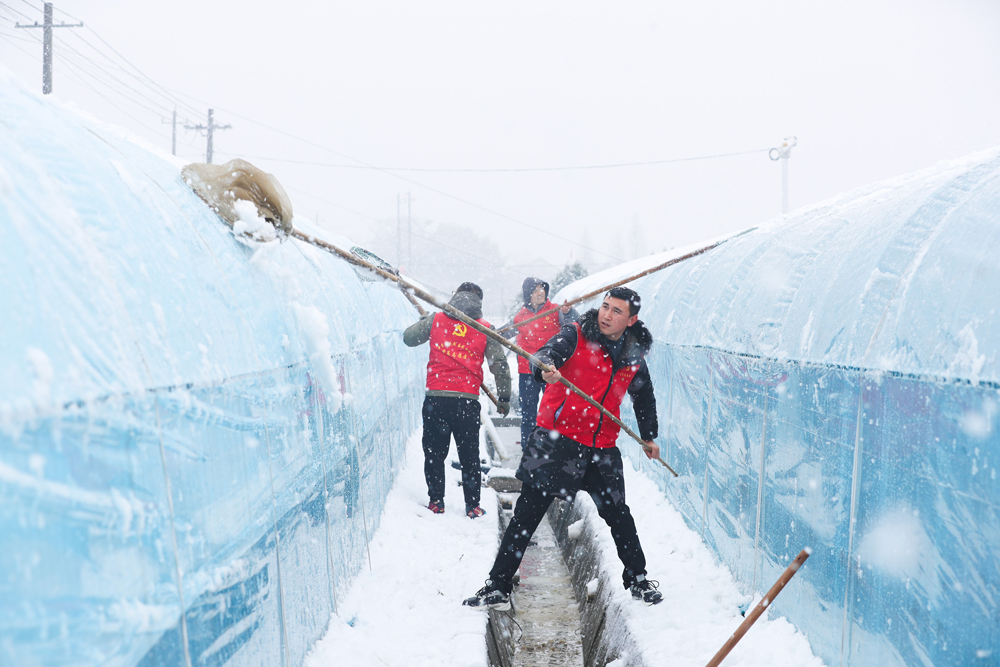 hT־Ըߎϵķeѩz