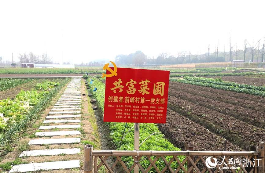 ԡ߲˕ͽoyͱȺwW z