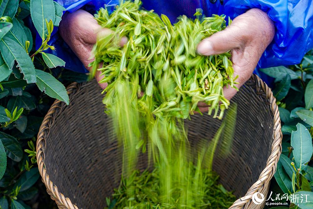 318ɲ蹤ں^DֵϳܤĲɽϲժǰѿW z