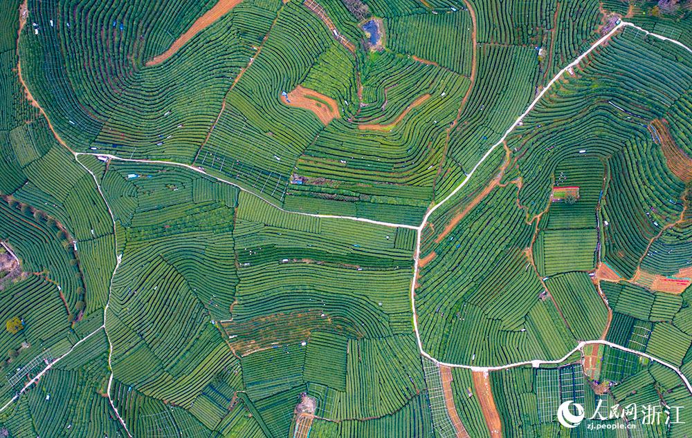 318ɲ蹤ں^DֵϳܤĲɽϲժǰѿW z