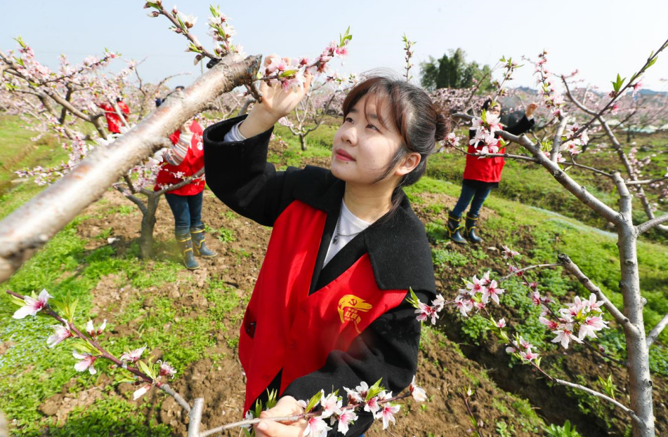 犹hTr꠳ɆTrһM˹ڷz