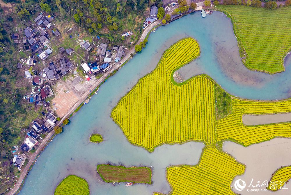 328㽭ʡRҽʮʢ_Ͳ˻ɫW z