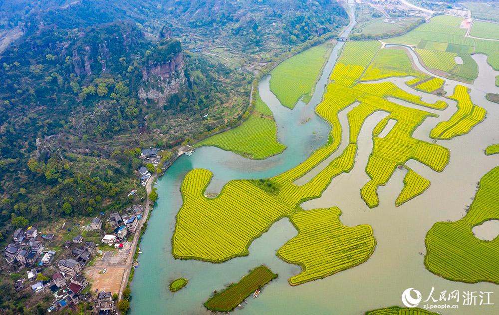 328㽭ʡRҽʮʢ_Ͳ˻ɫW z