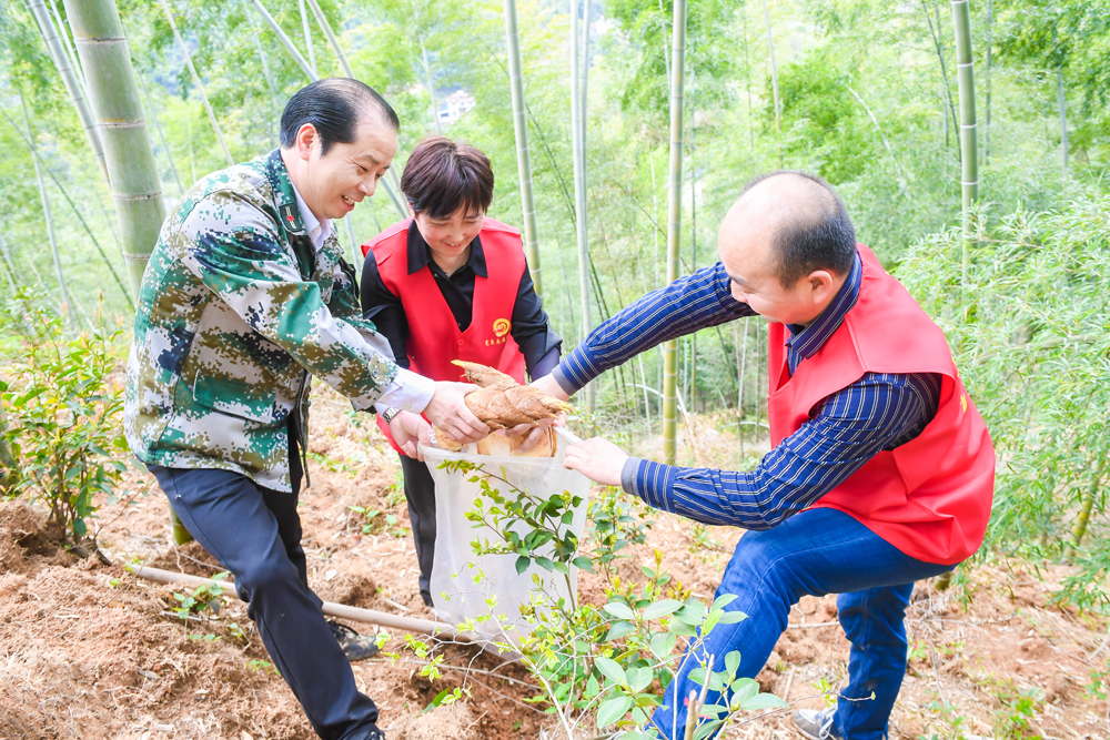 330ShTɲؚ犲ɽڹS_SrNͩ]hίD