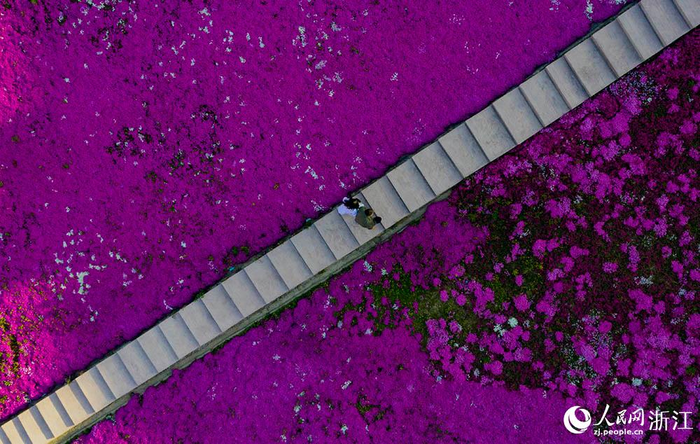 н^ȳ悾GҰ_˹600஀֥BƬ`W z