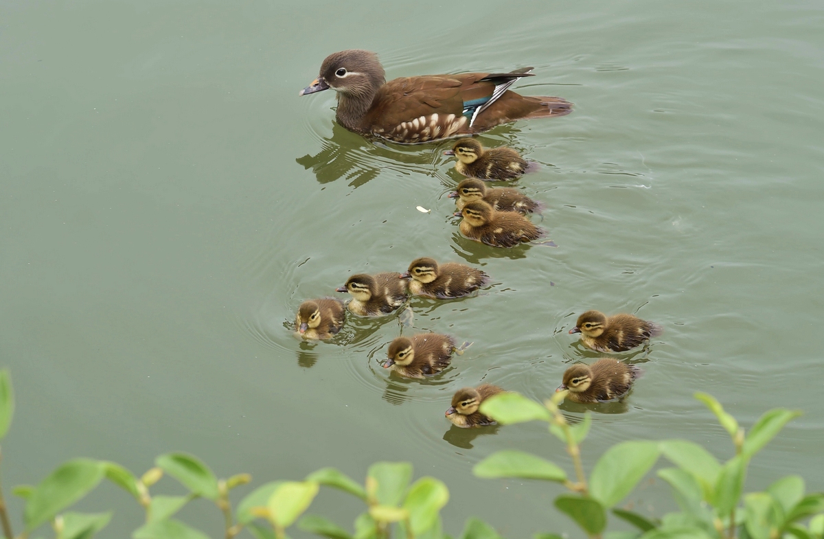 ӭ2022׸CСxꑽz