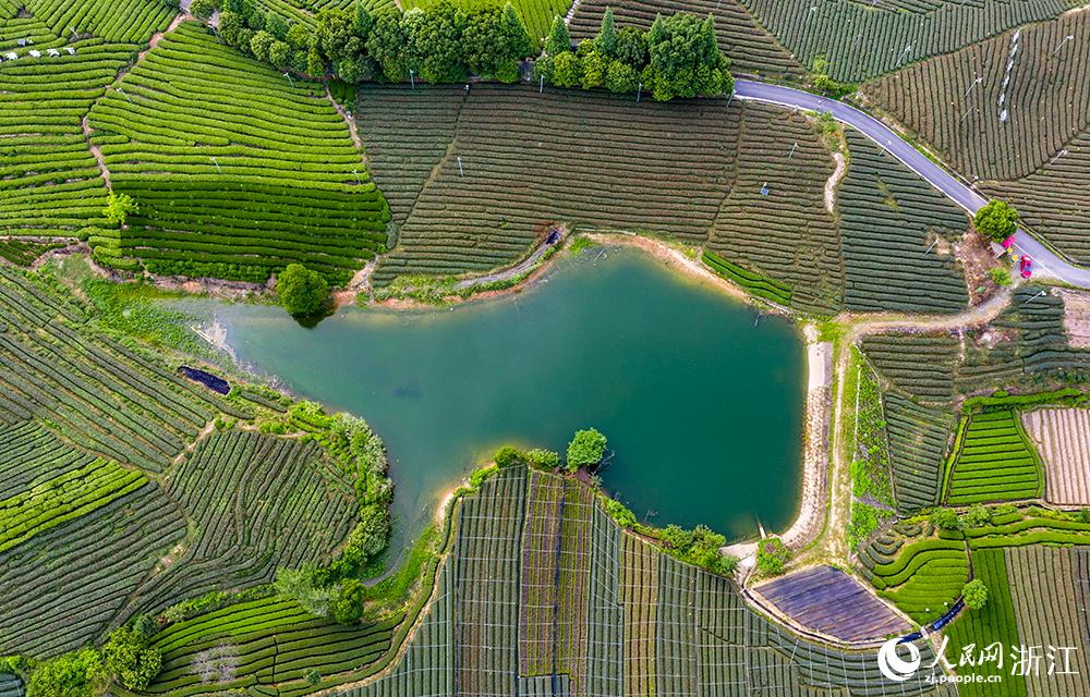 ˮꖿhľɽf@q򷭵{ɫPW z