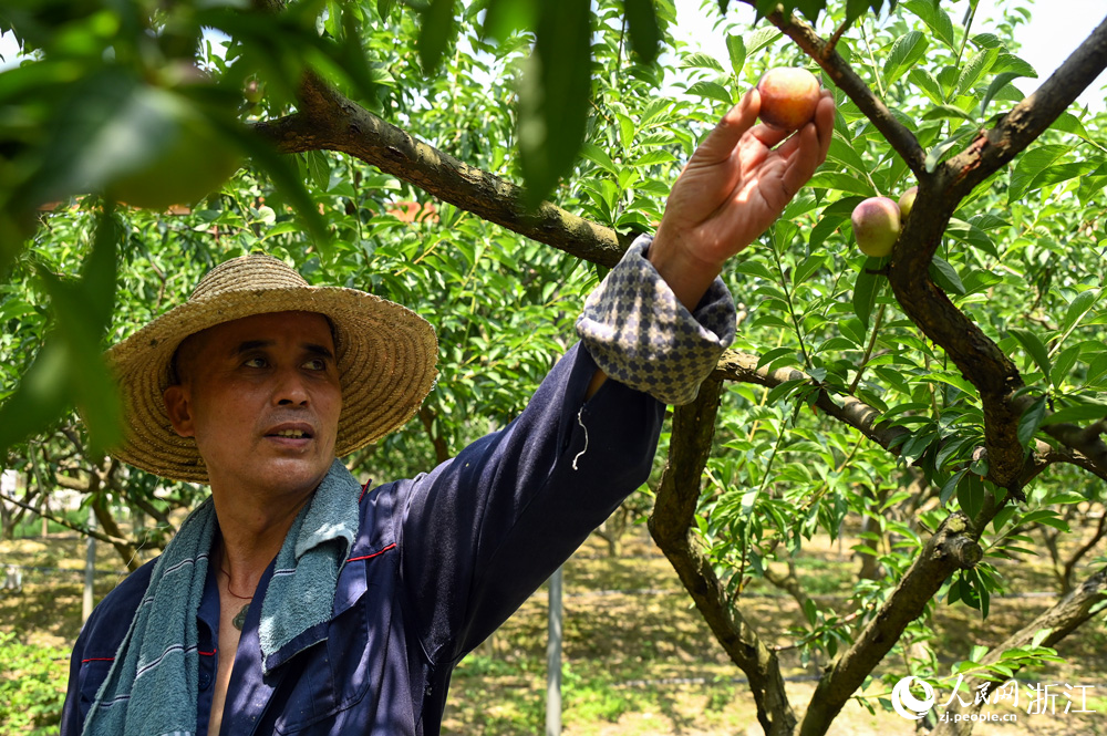 618dͩlֵͩ҈@һ̎@ræժW ~eÔz