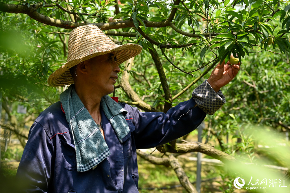 618dͩlֵͩ҈@һ̎@ræժW ~eÔz