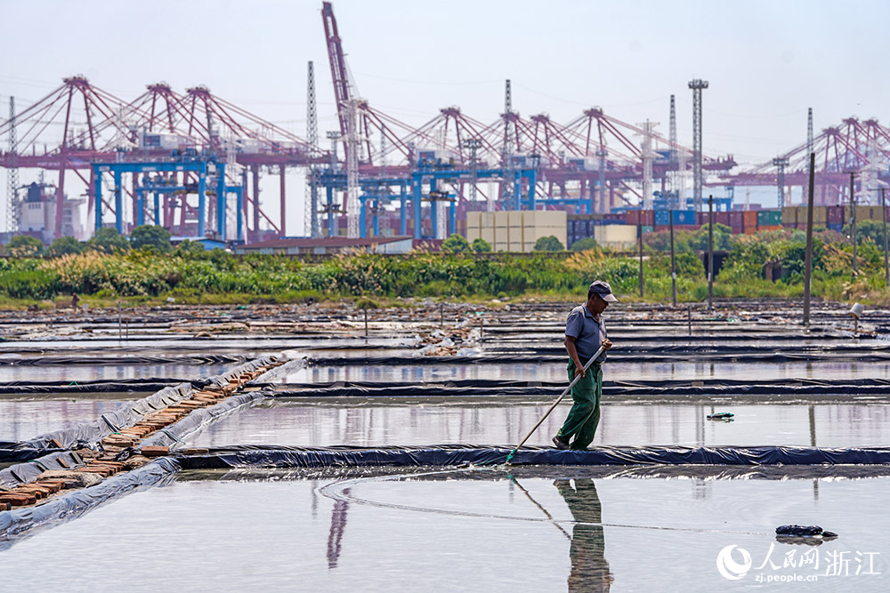 7月13日，鹽工們冒著高溫酷暑在鹽場勞作。人民網 章勇濤攝