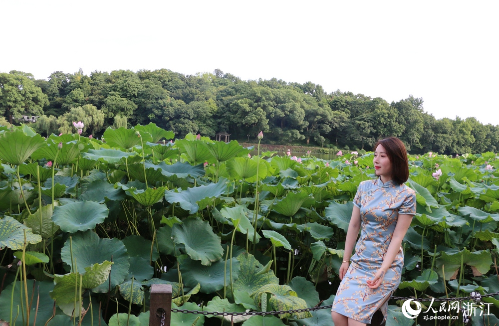 游客與西湖荷花合影。人民網 王麗瑋攝