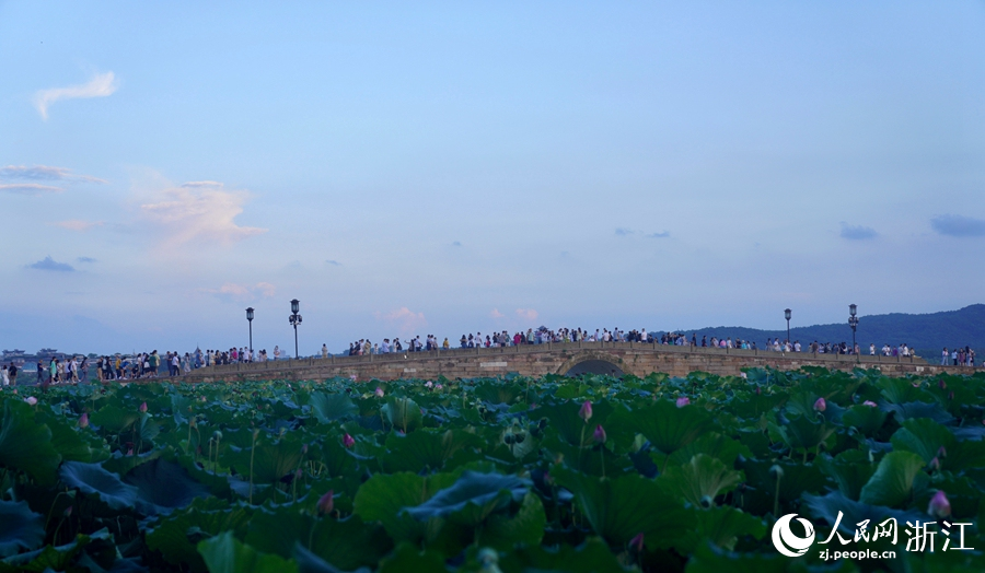 傍晚的西子湖畔。人民網 郭揚攝