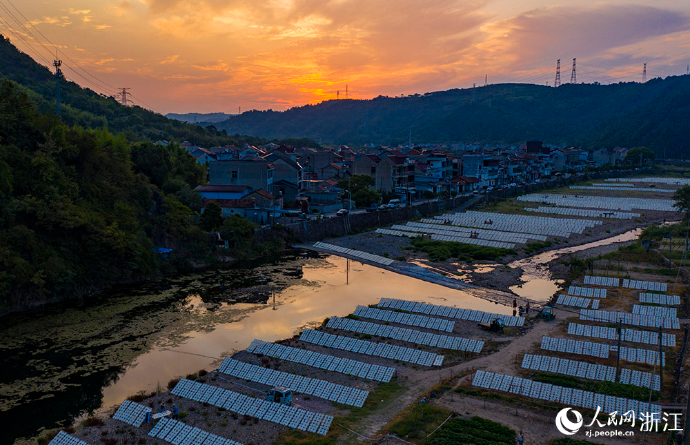 在浙江省嵊州市甘霖鎮殿前村的小烏溪江邊，村民們抓住晴好天氣忙著晾曬榨面。人民網 章勇濤攝