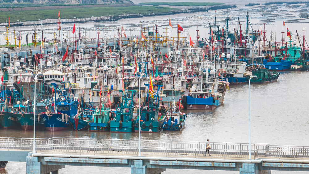 作業漁船陸續回港避風。周科攝