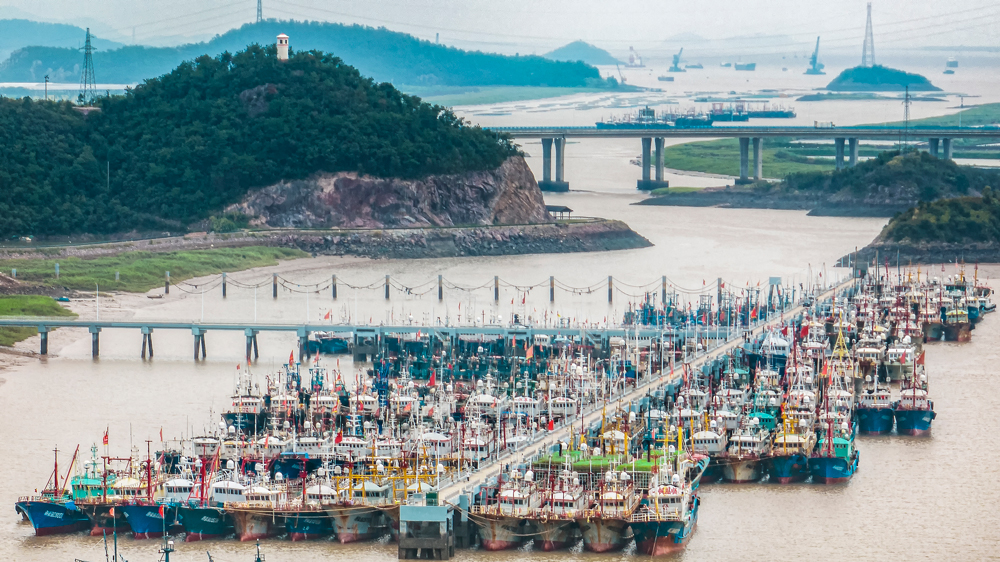 作業漁船陸續回港避風。周科攝