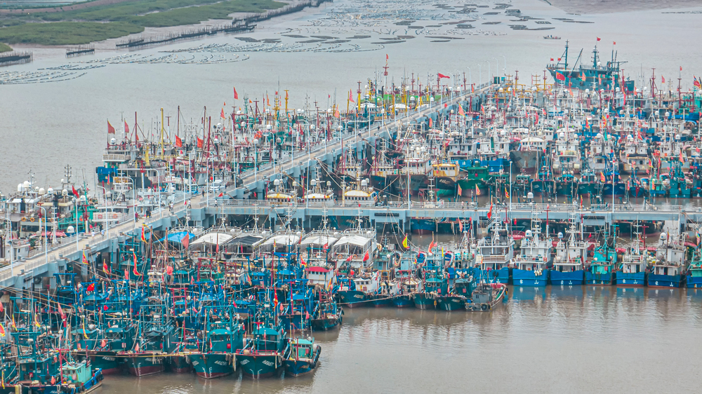 作業漁船陸續回港避風。周科攝