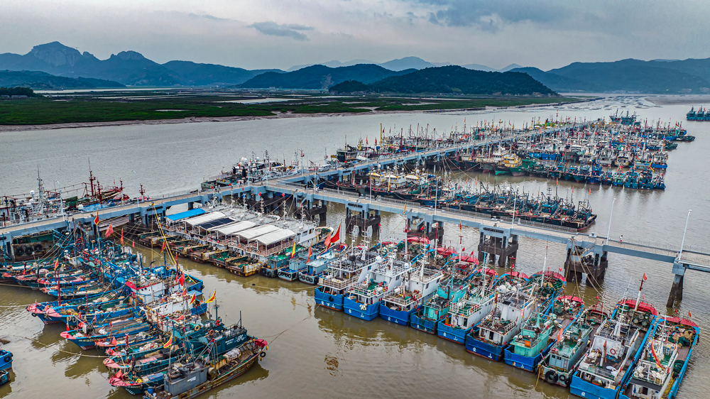 作業漁船陸續回港避風。周科攝