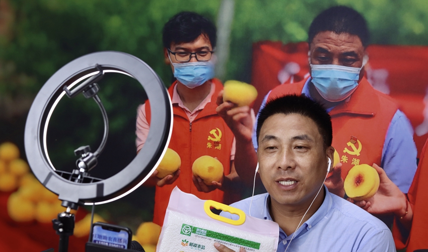 朱湖鎮莊塘村干部在直播。金響龍攝