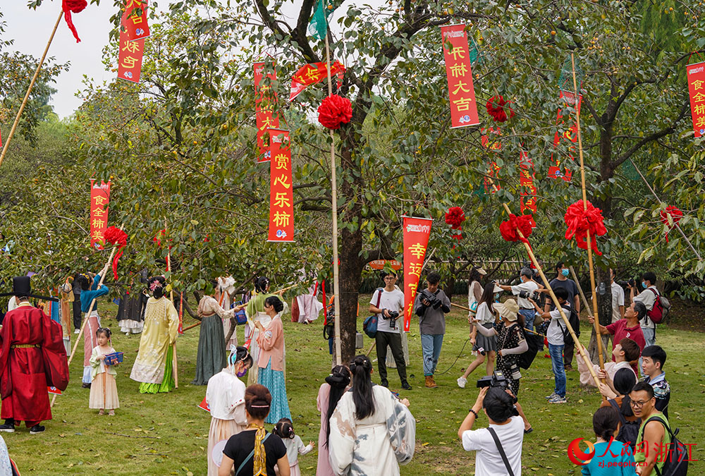 9月23日，游客在西溪濕地采摘柿子。人民網 章勇濤攝