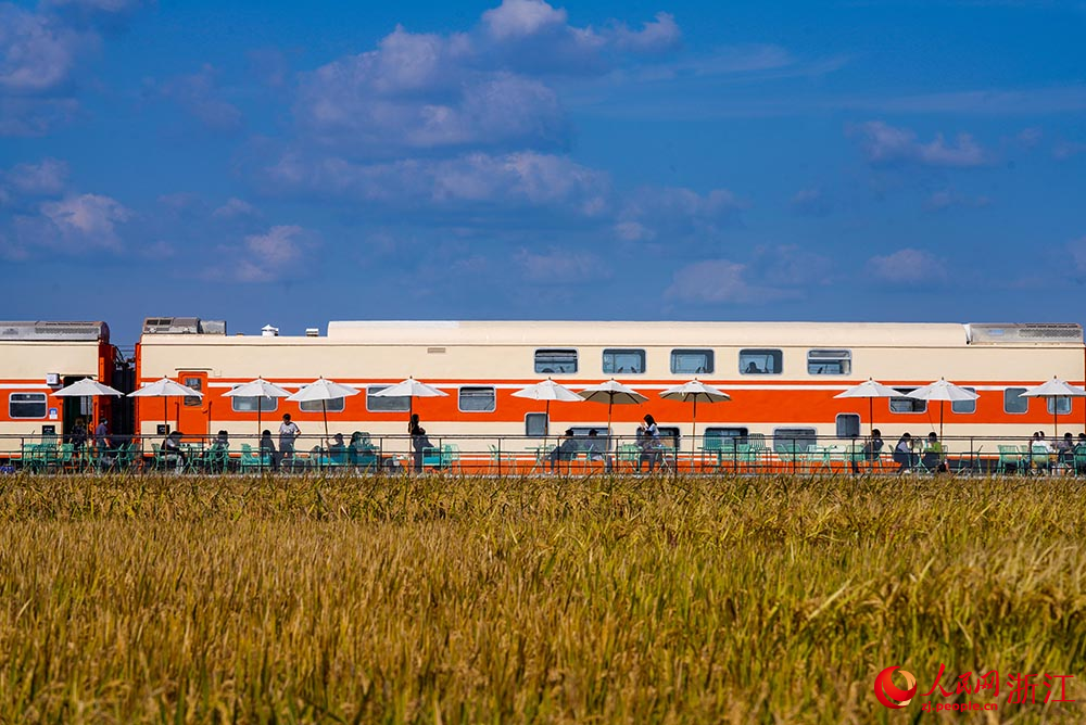 一列橙黃色的八節雙層火車“靜臥”在金黃色的稻田邊，吸引不少游客前來品咖啡、賞秋色。人民網 章勇濤攝