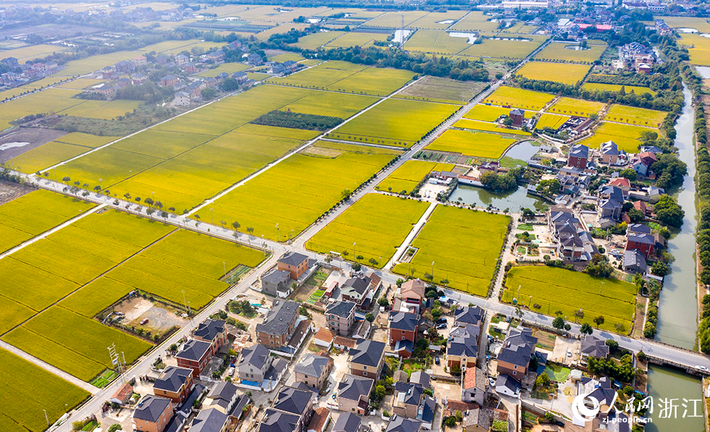 “四好農村路”穿行在美麗村莊、繁花綠樹、金色田園間，構成一幅美麗的鄉村畫卷。人民網 章勇濤攝