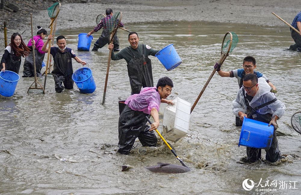 11月19日，游客在西溪濕地體驗“干塘”捕魚。人民網 章勇濤攝