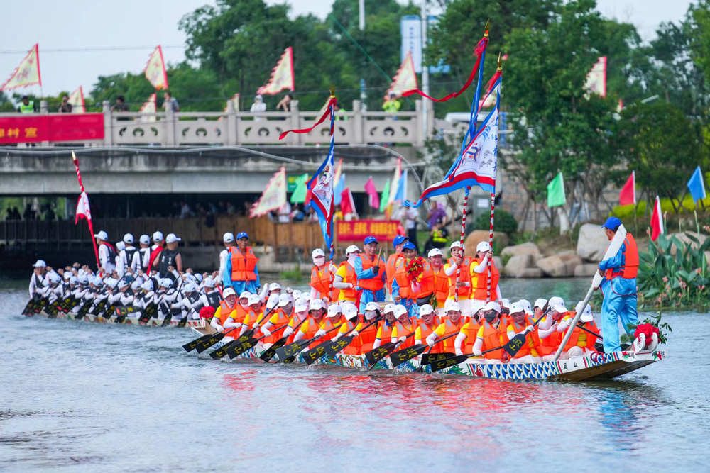 6月19日，在瑞安市中塘河，龍舟愛好者正在劃龍舟、賽龍舟。孫凜攝