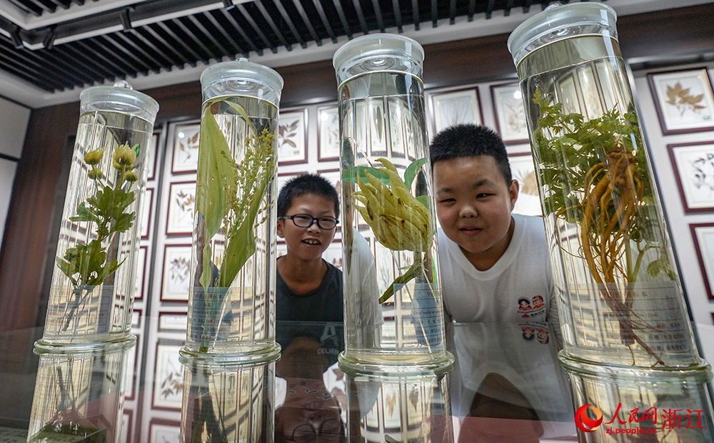 7月18日，在麗水經濟技術開發區中藥博物館內，“小候鳥”們正在觀看藥材標本。人民網 章勇濤攝