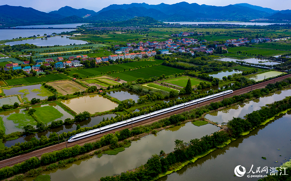 8月8日，一輛城際列車行駛在杭紹甬城際鐵路余姚段境內。人民網 章勇濤攝
