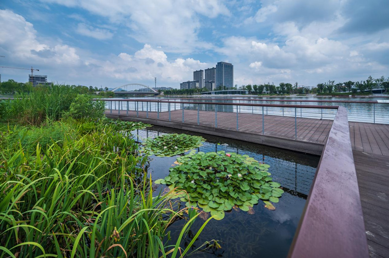 濱江生態公園。中交城投供圖