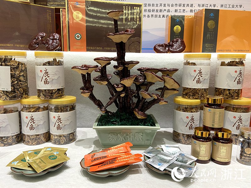 龍泉靈芝產品。人民網 方彭依夢攝