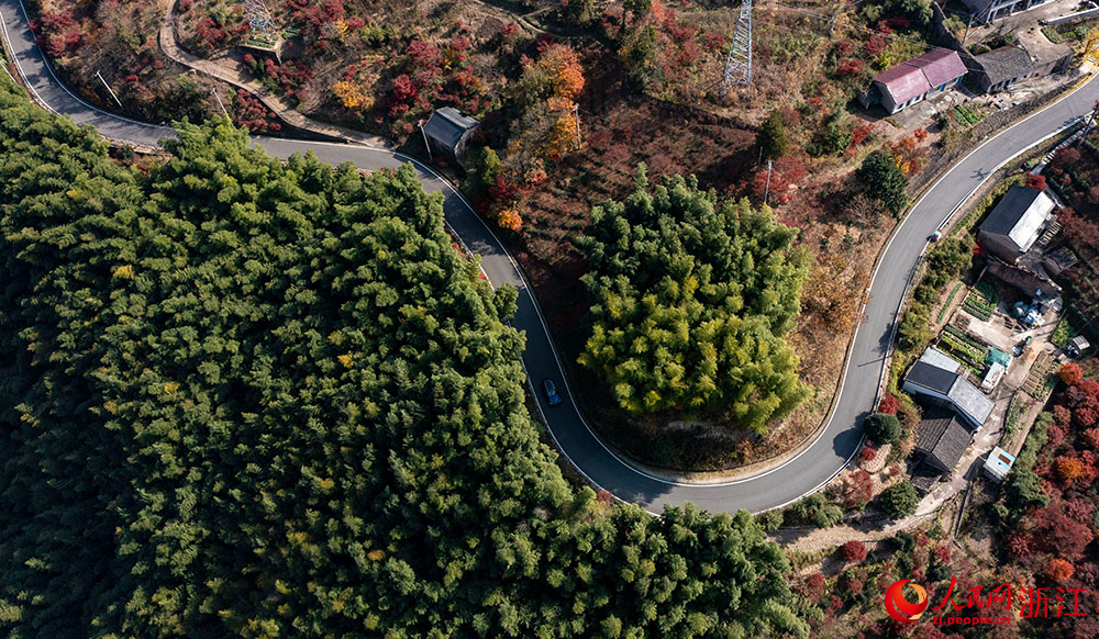 空中俯瞰浙江省余姚市四明山區，公路、民房與沿途漫山紅遍、層林盡染的山色構成絢麗多彩的深秋畫卷。人民網 章勇濤攝