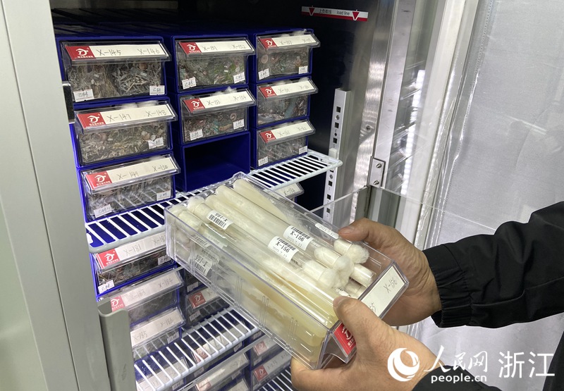 陳俊良展示種質資源庫內收集保藏的野生菌種質資源。人民網 方彭依夢攝