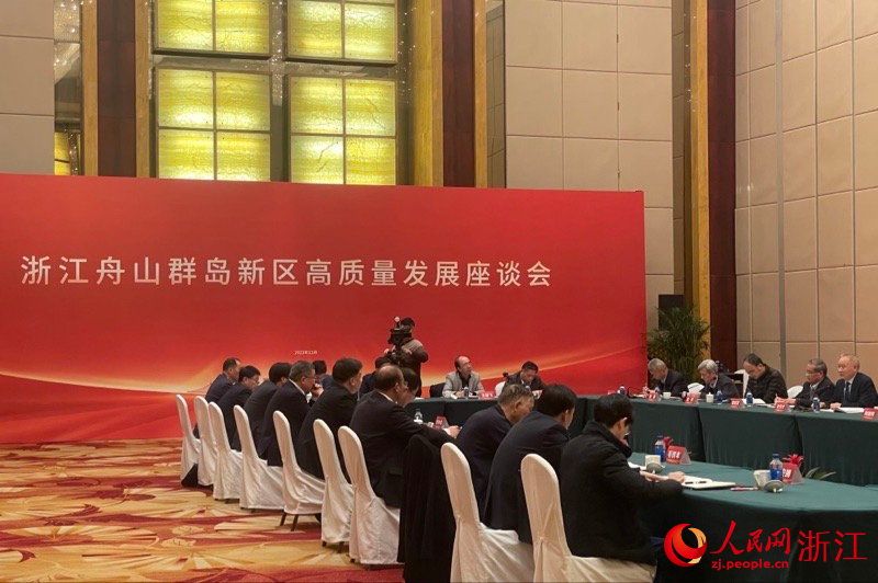 浙江舟山群島新區高質量發展座談會現場。人民網 秦銘澤攝