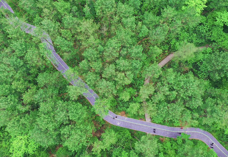 濕地公園慢行綠道。許銀煒攝